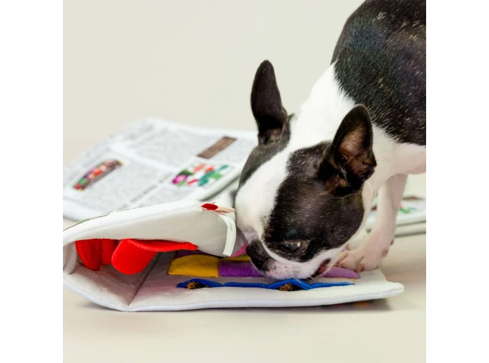 Newspaper Nosework Toy