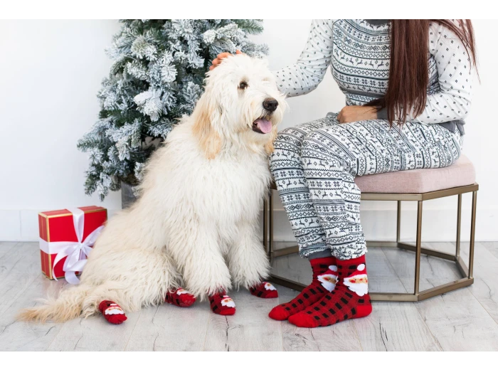 Human and Dog Matching Christmas Sock Set, Santa