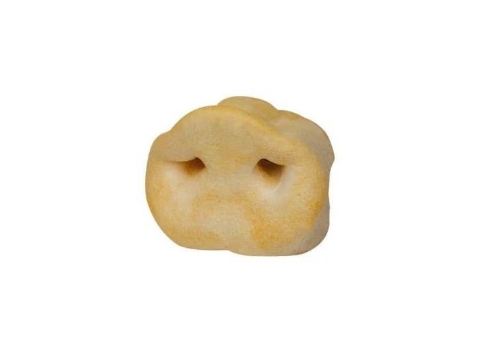 Puffy Pig Snouts