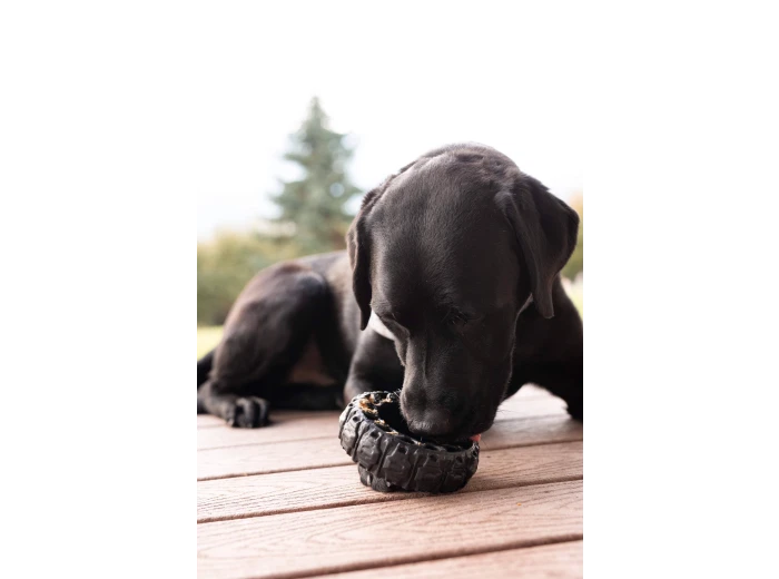 The Tire - Reclaimed Rubber Toy - MADE IN THE USA Large