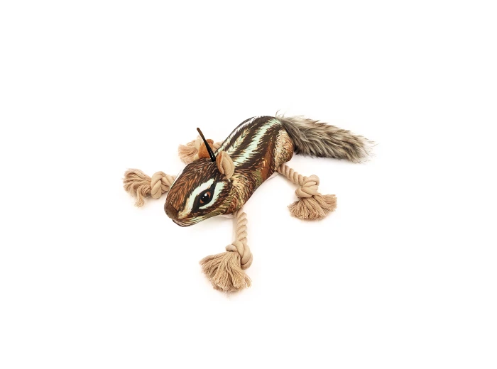 Roper Prairie Chipmunk