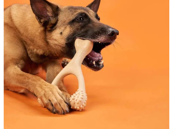 BetterBone Hard Classic Dog Chew Toy Large