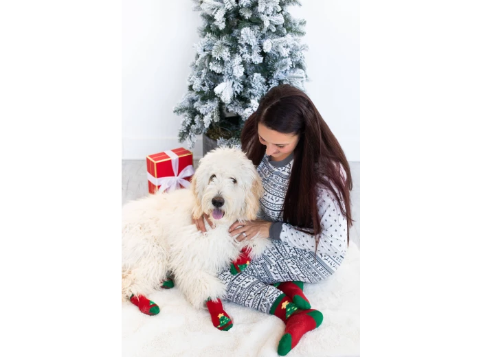 Human and Dog Matching Christmas Sock Set, Christmas Tree