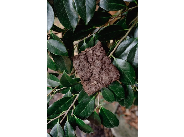 BEAVER | Freeze-Dried Dog + Cat Treat 4.5 oz