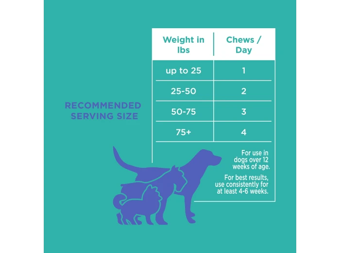 The Only Digestive Support Soft Chews Dogs Need 12 count pouch