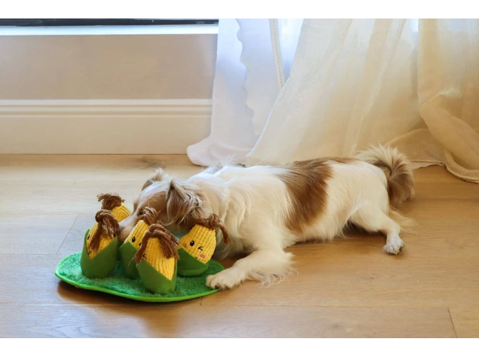 Corn Maze Snuffle Toy