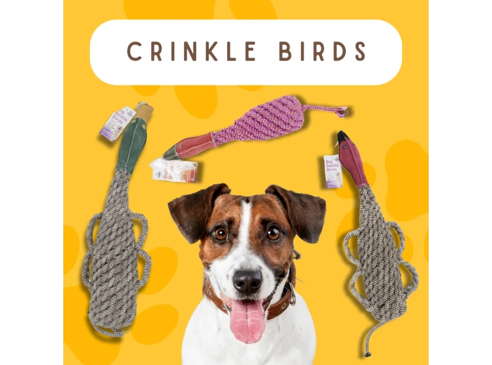 Eco-friendly Recycled Bottle Crinkle Bird Toys Pet-Safe and Duck Large