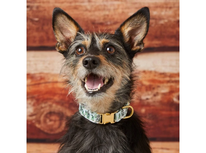 Gray Malin x TFD Snowy Pines Dog Collar L