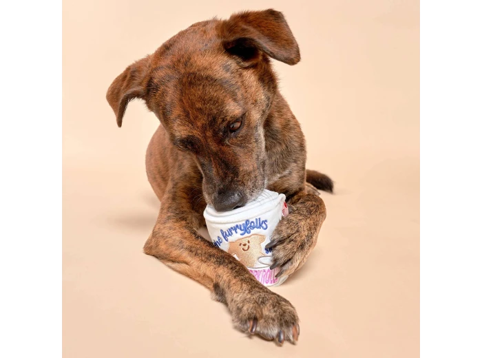 Toilet Paper Nosework Toy
