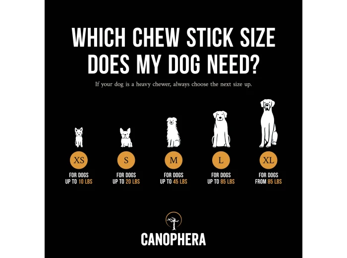 Dog Chew Stick Made of Coffee Wood.
