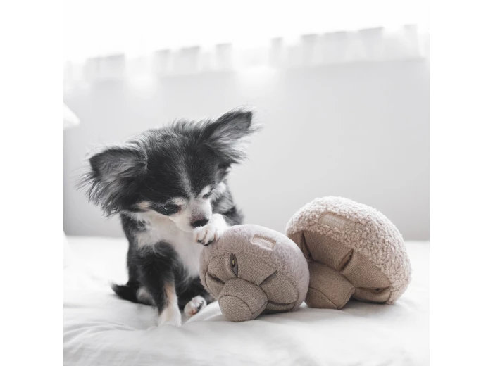WHOLESALE GUU//OAT//NOSEWORK MUSHROOM//ENRICHMENT DOG TOY Small