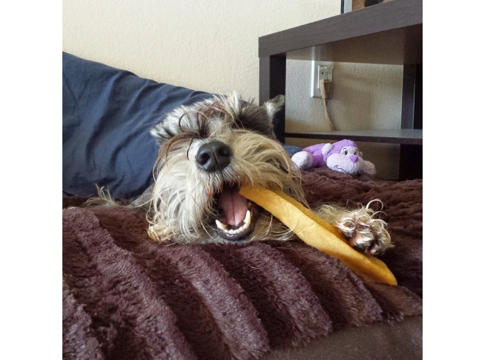 Gold Yak Dog Chews - 5 Pound Bag