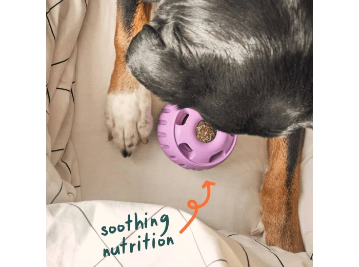 Calming Wellness Pops Extra Large