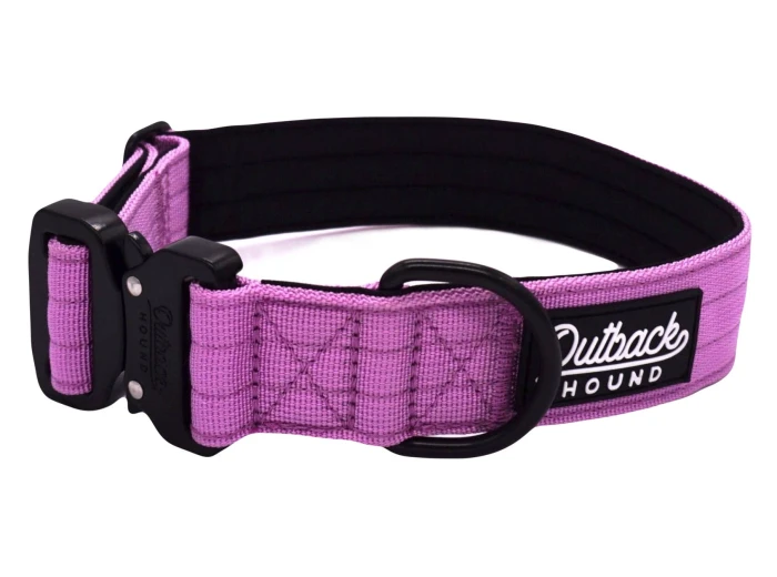 Lilac Premium Dog Collar Medium