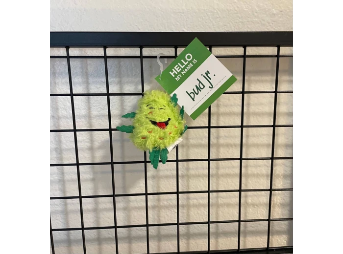 Bud Jr. the Weed Nug | Funny Cat Toy | Cool Plush Catnip Toy