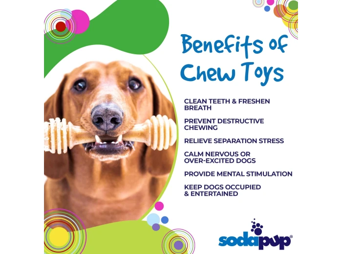Honey Bone Nylon Chew Bone for Dogs Medium