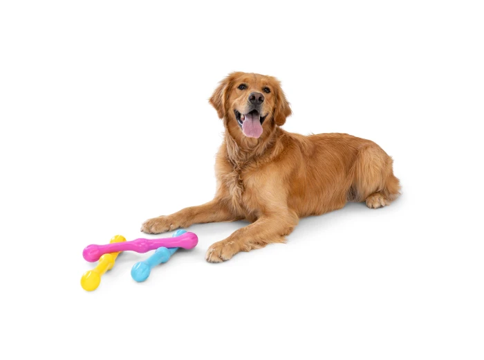Zwig® Dog Toy for Play, Tug, and Fetch Dandelion Yellow