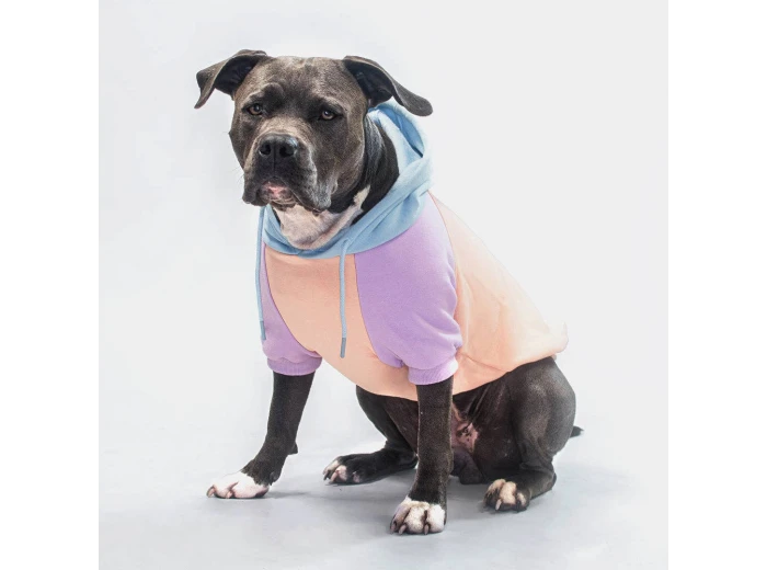 Cotton Candy Dog Hoodie 2XL