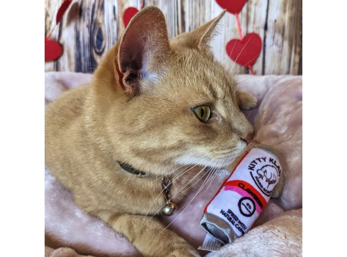 Kitty Klaw Clawberry For Cats