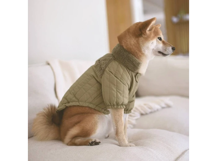 WHOLESALE SOHO//DOG CLOTHING//APPAREL Dunes