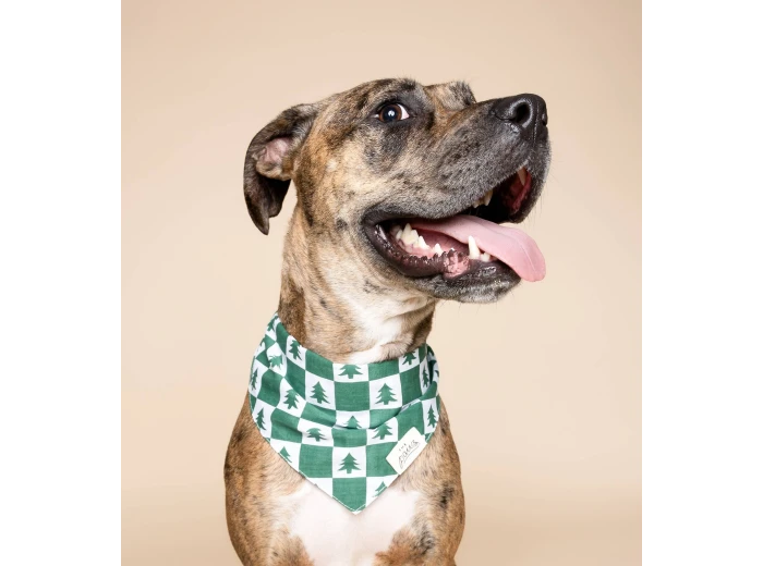 Spruce Winter Dog Bandana SizeXL