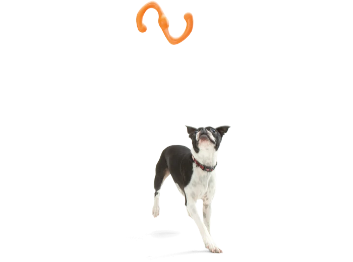 Bumi® Dog Toy for Chew, Tug, and Fetch Granny Smith