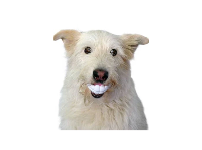 Humunga Chomp Standard