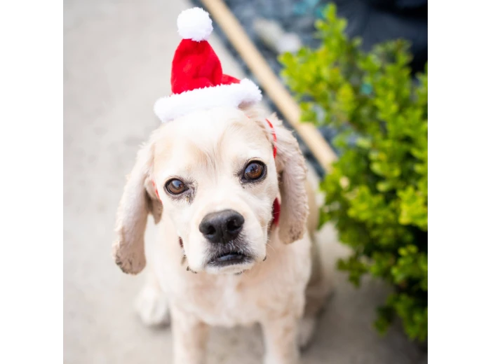 H&K Hat Santa with SnugFit® SM