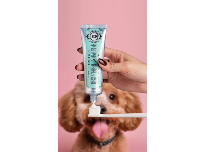 Puppy Polisher Eco Toothbrush - (Medium)