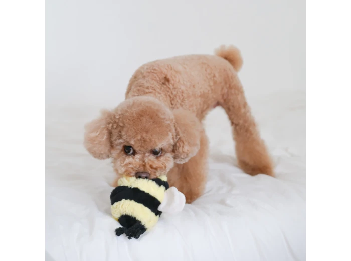WHOLESALE BEE POP