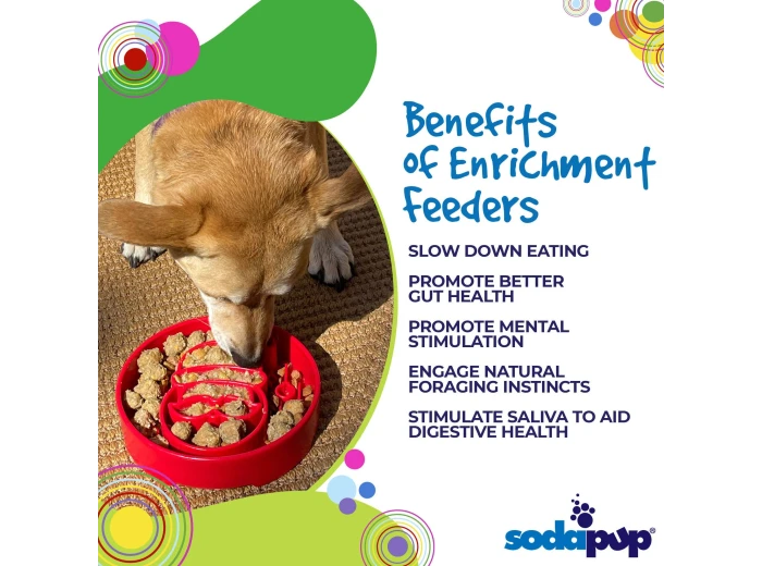 Santa Design eBowl Enrichment Slow Feeder Bowl for Dogs