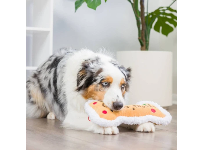 Cookie Tester Bone For Dogs Small