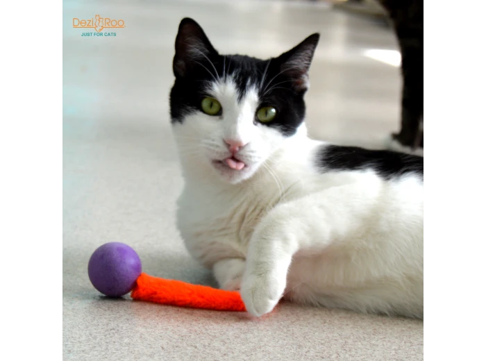 Wiggly Pong - Cat Toy Plastic Pong Ball Enclosed in poly bag with 4x2 header card