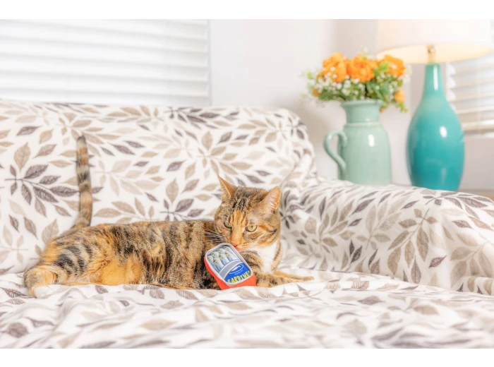 Sardine Tin For Cats