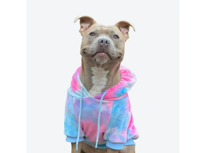 Velvet Dog Hoodie - Snow Cone 5XL