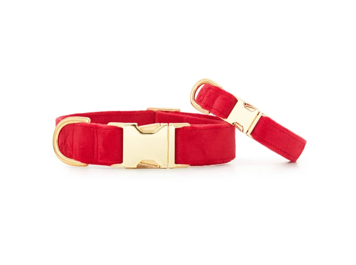 Cranberry Velvet Dog Collar L Gold