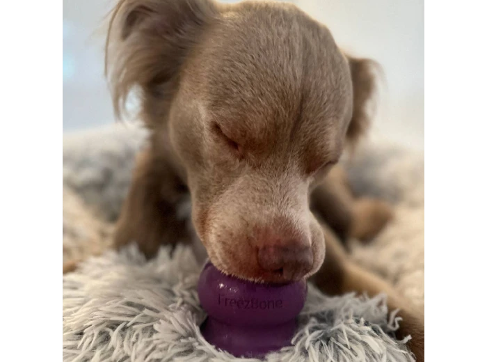 Freezball Purple