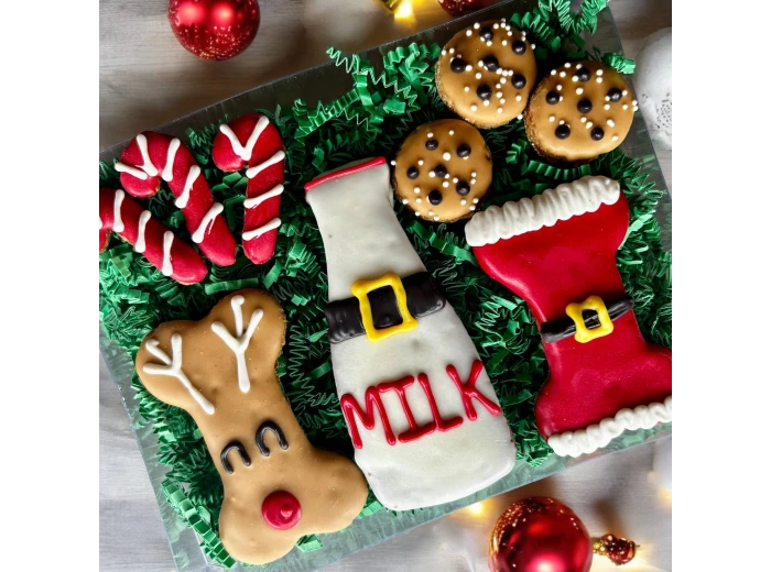 Treats for Santa Paws & Friends dog treats GIFT BOX