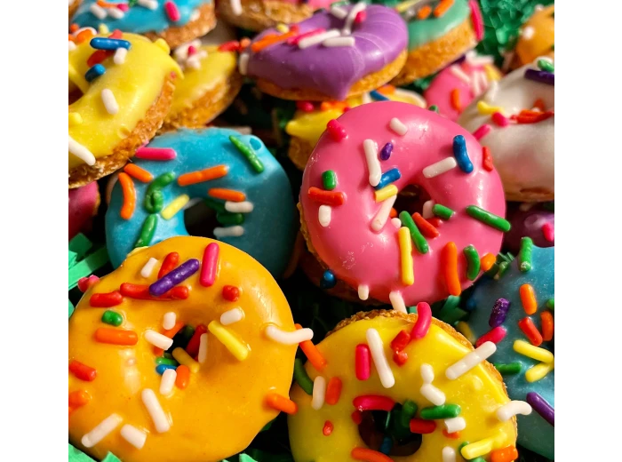 Mini 🍩 dog treats