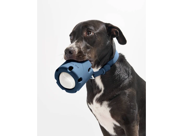 Tennis Tumble Interactive Dog Toy Navy