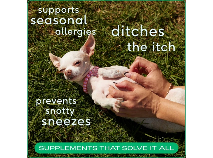 Allergy & Immune Chews, an Allergy & Itch Relief Supplement 120ct