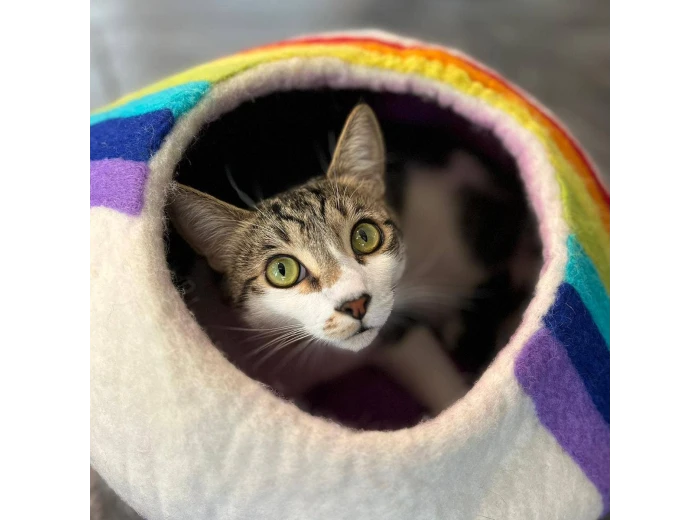 Rainbow Eco Kitty Cave - Cat Cave PACKAGE FREE (NO bag)