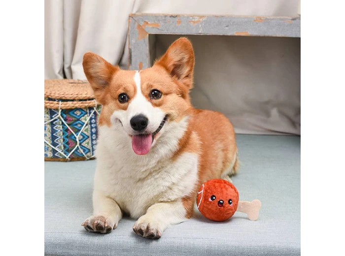 HugSmart Pet - Food Party | Ham - Dog Ball Toy