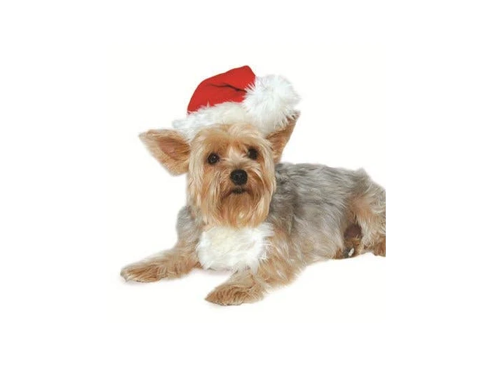 Santa Hat S
