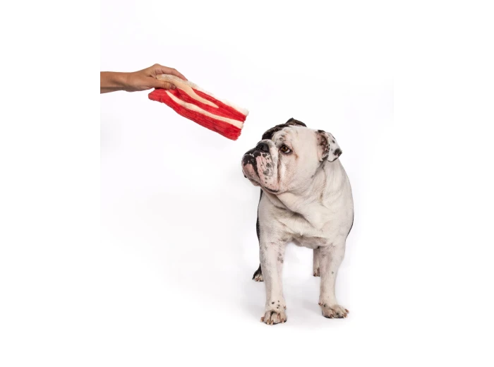 Bacon Dog Toy