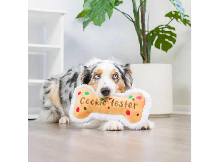 Cookie Tester Bone For Dogs Large
