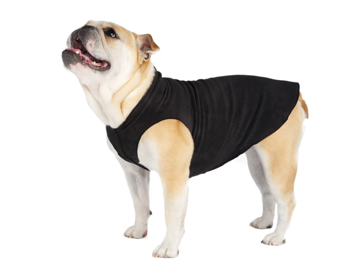 Stretch Fleece Sizes 14-30 Gold Buffalo Check