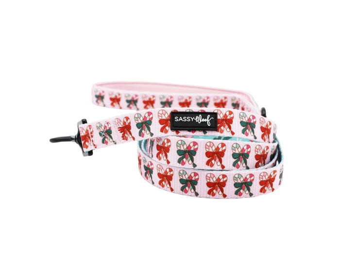 Dog Leash - Candy Cane Coquette (Christmas)