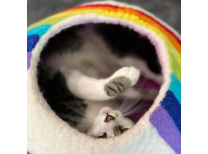 Rainbow Eco Kitty Cave - Cat Cave PACKAGE FREE (NO bag)
