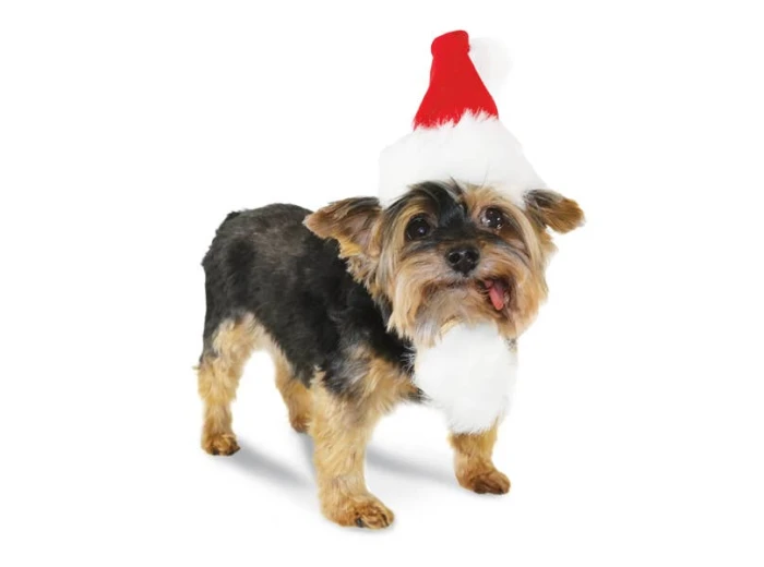 Santa Hat L